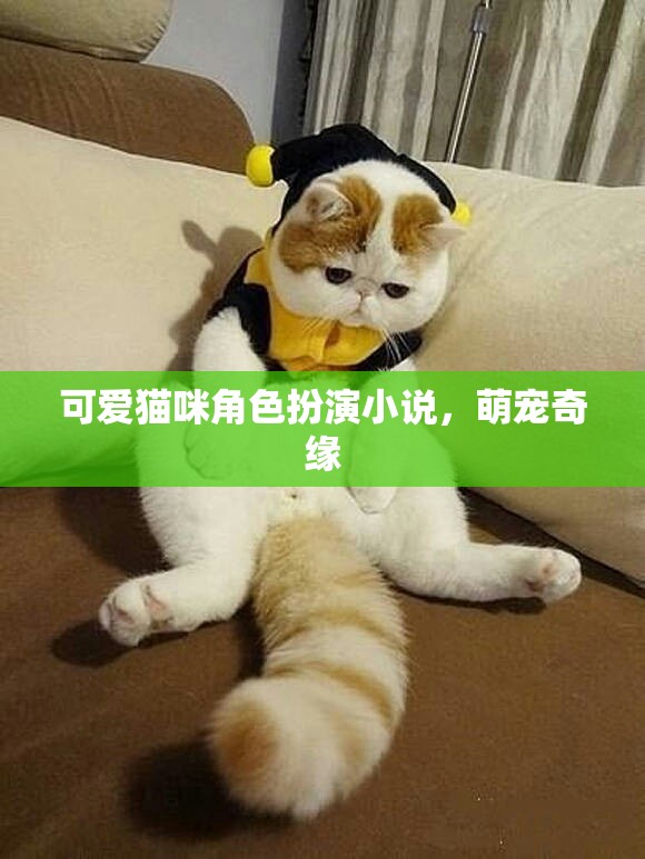 萌寵奇緣，可愛貓咪的角色扮演冒險(xiǎn)
