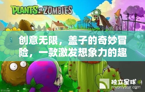 創(chuàng)意無限，蓋子的奇妙冒險(xiǎn)——解鎖想象力的趣味之旅