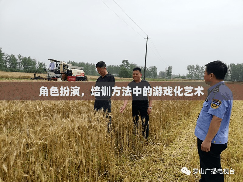 角色扮演，培訓(xùn)方法中的游戲化藝術(shù)