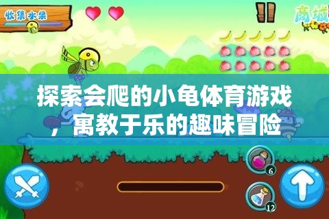 小龜爬行體育游戲，寓教于樂的趣味冒險之旅
