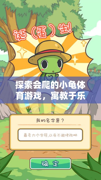 小龜爬行體育游戲，寓教于樂的趣味冒險之旅