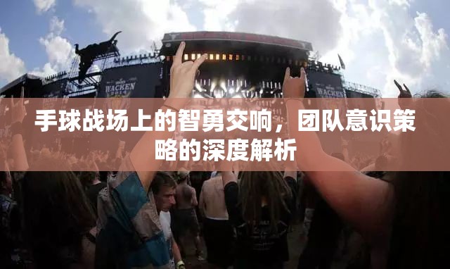 手球戰(zhàn)場上的智勇交響，團隊意識與策略的深度解析