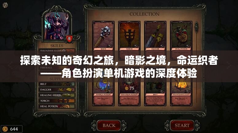 暗影之境，命運(yùn)織者的奇幻之旅——深度體驗(yàn)角色扮演單機(jī)游戲  第3張