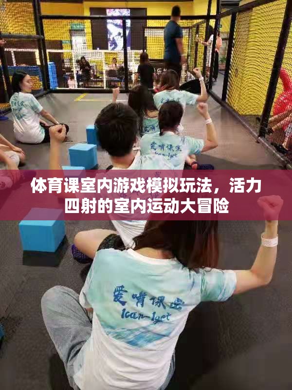 室內運動大冒險，活力四射的體育課模擬游戲