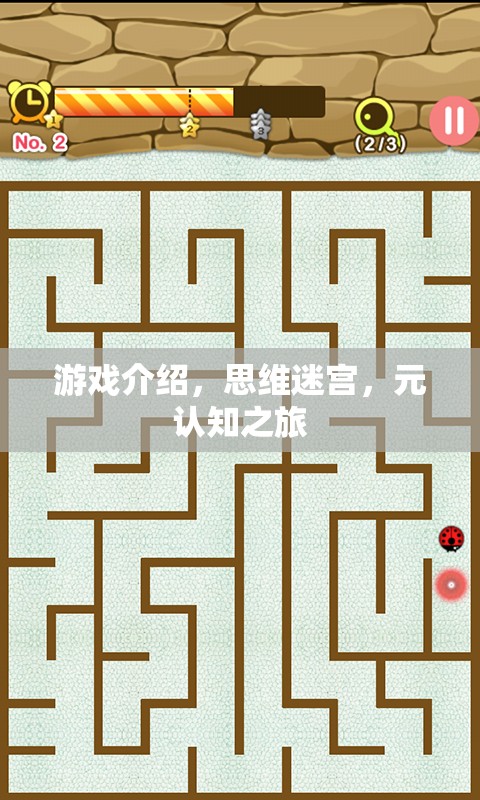 思維迷宮，一場元認知的探險之旅