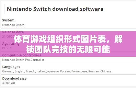 解鎖團(tuán)隊(duì)競(jìng)技的無(wú)限可能，體育游戲組織形式圖片表