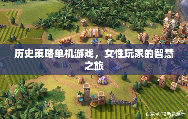 歷史策略單機(jī)游戲，女性玩家的智慧之旅
