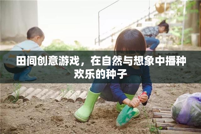 田間創(chuàng)意游戲，播種歡樂的種子在自然與想象中