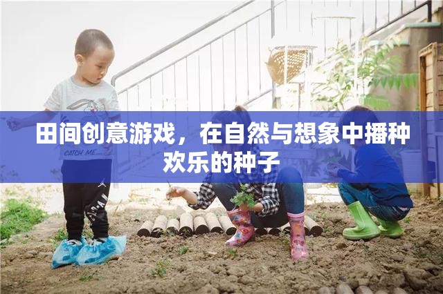 田間創(chuàng)意游戲，播種歡樂的種子在自然與想象中