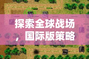 邊境守護(hù)者，深度解析國(guó)際版策略塔防游戲的全球戰(zhàn)場(chǎng)