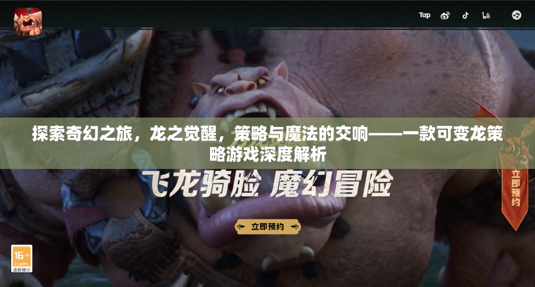 龍之覺醒，可變龍策略游戲的奇幻之旅與策略魔法交響  第3張