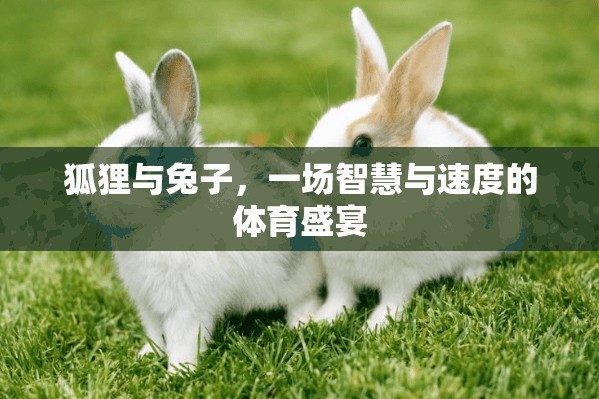 智慧與速度的較量，狐貍與兔子的體育盛宴