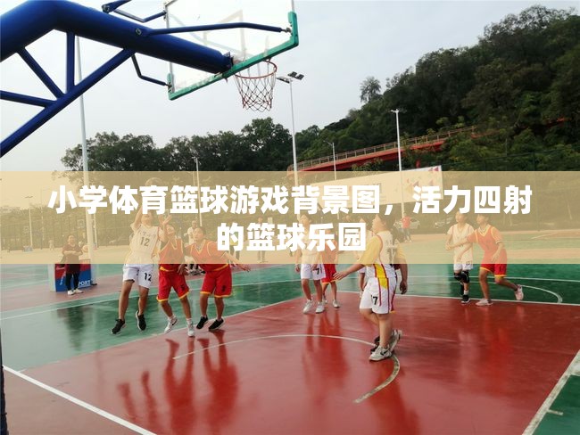 活力籃球樂(lè)園，小學(xué)體育的激情背景圖