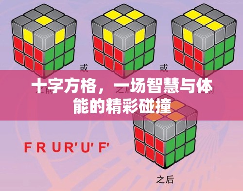 十字方格，一場智慧與體能的精彩碰撞