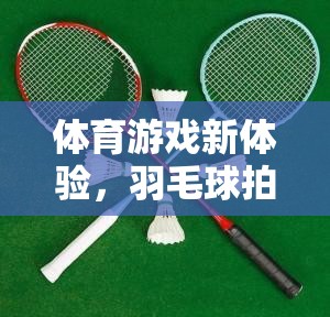 羽毛球拍教案，開啟體育游戲新體驗的趣味之旅