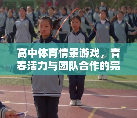 青春活力與團(tuán)隊(duì)合作的完美融合，高中體育情景游戲