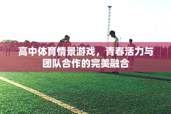 青春活力與團(tuán)隊(duì)合作的完美融合，高中體育情景游戲