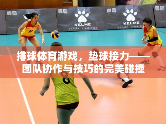 墊球接力，排球體育游戲中的團(tuán)隊(duì)協(xié)作與技巧碰撞