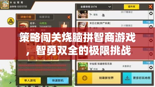智勇極限挑戰(zhàn)，策略闖關(guān)燒腦游戲