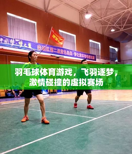 飛羽逐夢(mèng)，虛擬賽場(chǎng)上的激情羽毛球?qū)Q