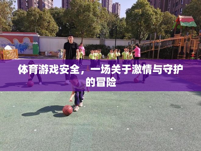 激情與守護(hù)，體育游戲中的安全冒險(xiǎn)  第2張