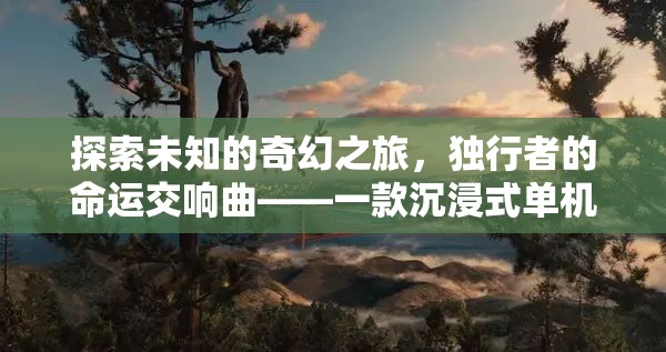 獨(dú)行者的奇幻命運(yùn)交響，沉浸式單機(jī)角色扮演游戲ID的探索之旅
