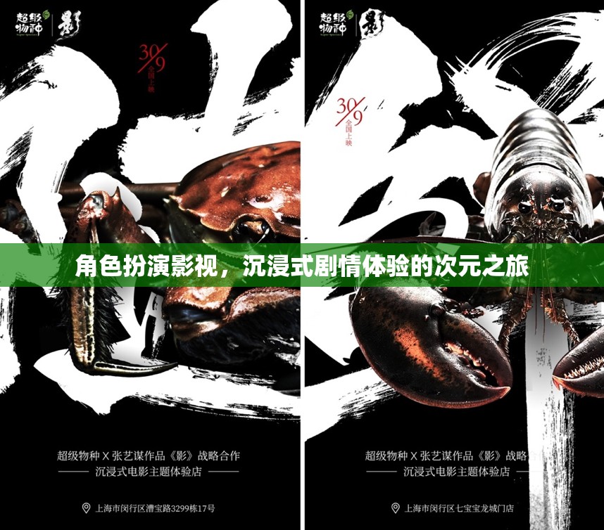 次元之旅，沉浸式劇情體驗的影視角色扮演