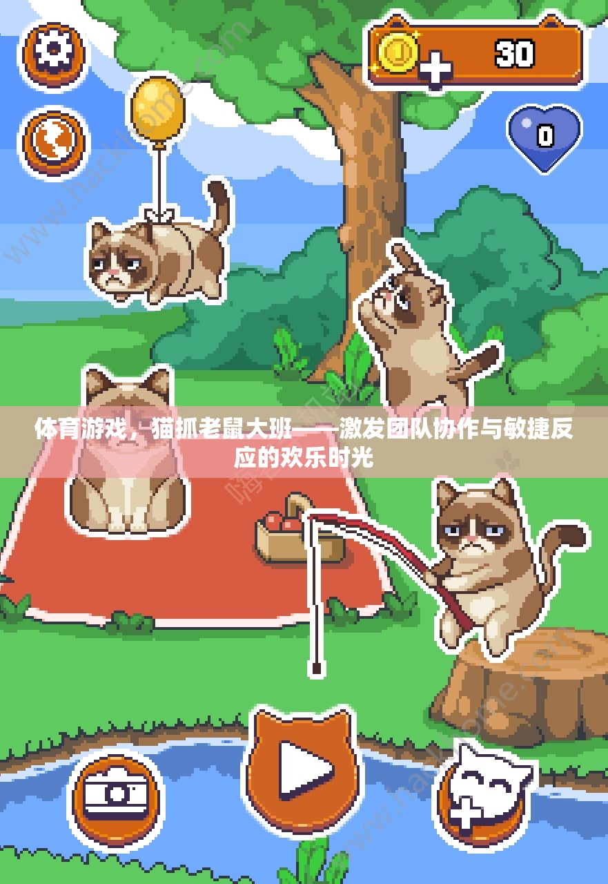 貓抓老鼠大班，激發(fā)團(tuán)隊(duì)協(xié)作與敏捷反應(yīng)的歡樂體育游戲
