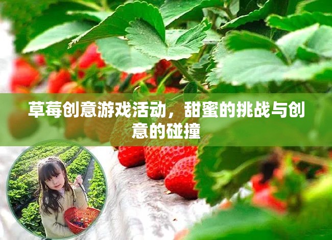 草莓創(chuàng)意游戲，甜蜜挑戰(zhàn)與創(chuàng)意的火花碰撞