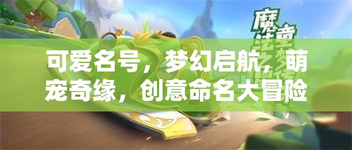 萌寵奇緣，創(chuàng)意命名大冒險
