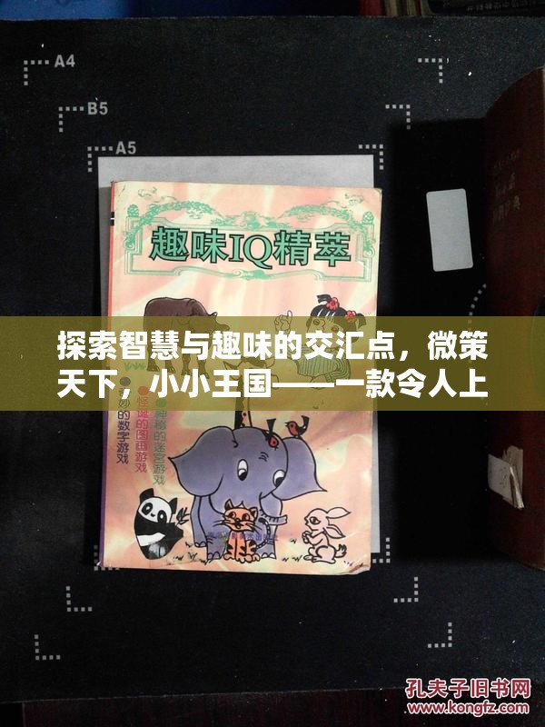 微策天下，智慧與趣味的碰撞，打造小小王國(guó)的策略游戲之旅