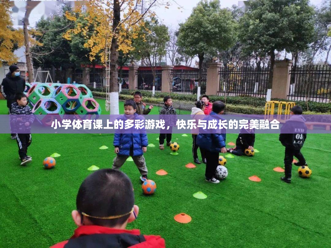 多彩游戲，小學(xué)體育課的快樂與成長(zhǎng)完美融合