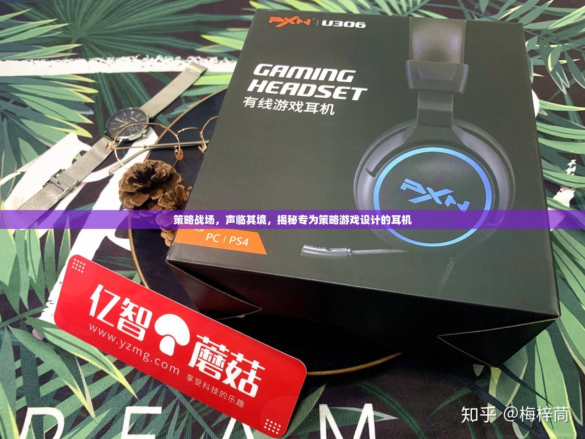 策略戰(zhàn)場，身臨其境的聽覺盛宴——揭秘專為策略游戲設(shè)計的耳機(jī)  第2張