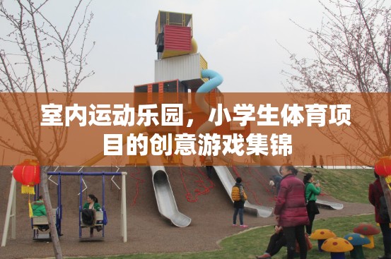 室內(nèi)運(yùn)動(dòng)樂(lè)園，小學(xué)生體育項(xiàng)目的創(chuàng)意游戲集錦