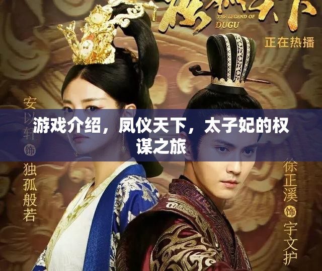 鳳儀天下，太子妃的權(quán)謀之旅