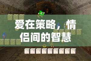 情侶間的智慧對決，探索雙宿雙飛策略小游戲的浪漫之旅  第1張