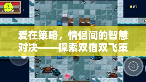 情侶間的智慧對決，探索雙宿雙飛策略小游戲的浪漫之旅  第3張