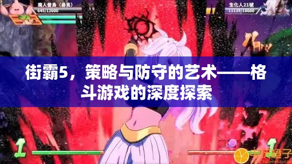 街霸5，策略與防守的藝術(shù)——深度探索格斗游戲的精髓