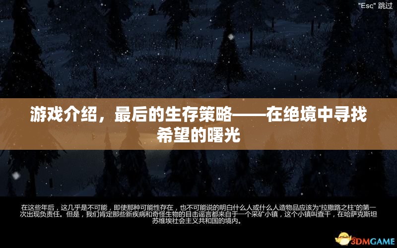最后的生存策略，絕境中的希望曙光  第1張