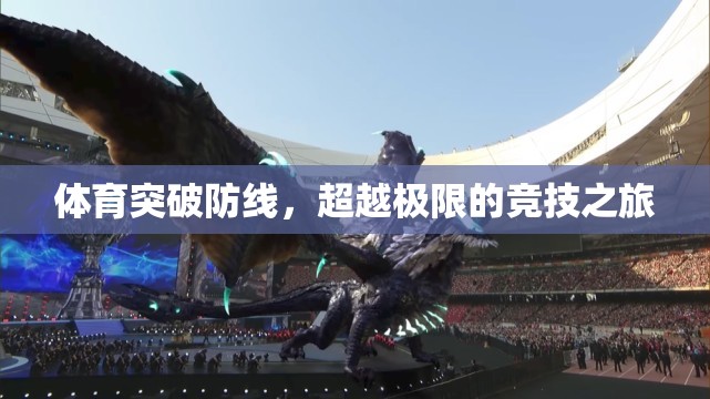 超越極限，體育競技的突破與挑戰(zhàn)之旅