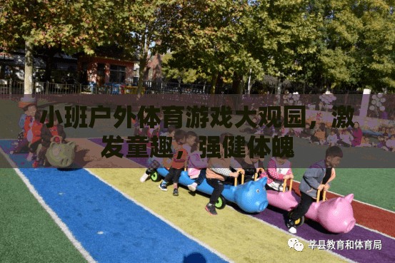 小班戶外體育游戲，激發(fā)童趣，強健體魄的樂園