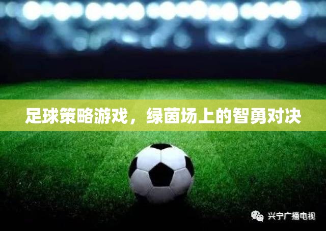 綠茵場上的智勇對決，足球策略游戲的魅力