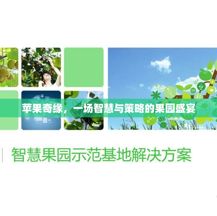 智慧果園的奇妙之旅，蘋果奇緣