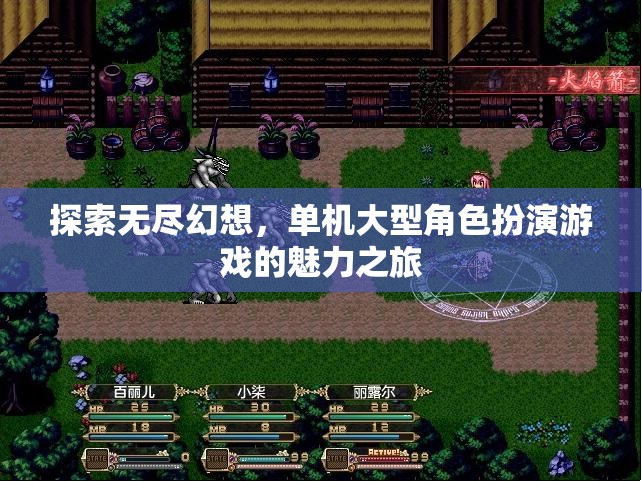 探索無盡幻想，單機大型角色扮演游戲的魅力之旅