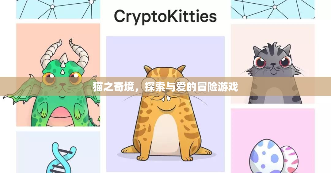 貓之奇境，探索與愛的冒險之旅
