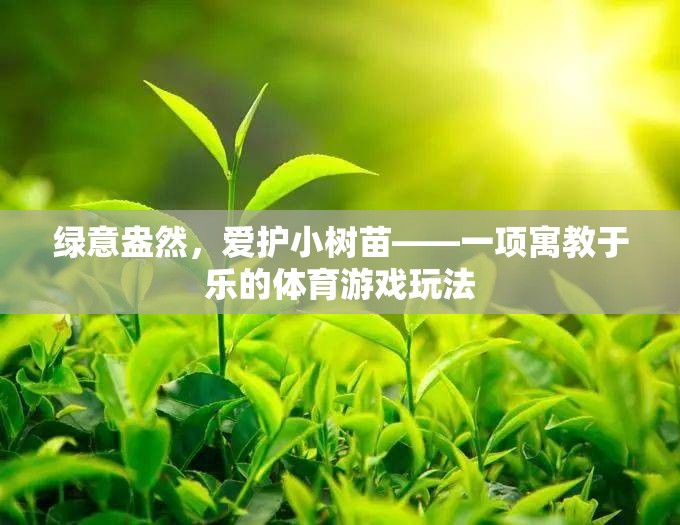 綠意盎然，寓教于樂的小樹苗體育游戲