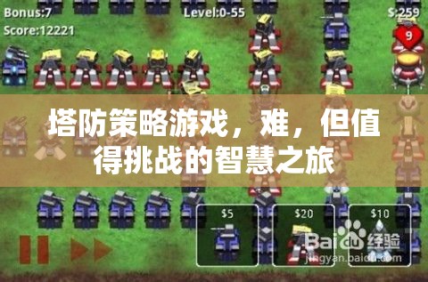挑戰(zhàn)智慧之旅，塔防策略游戲的魅力