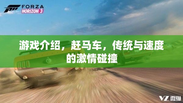 趕馬車，傳統(tǒng)與速度的激情碰撞  第2張