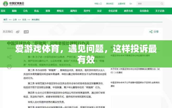 愛(ài)游戲體育問(wèn)題解決，如何進(jìn)行高效投訴