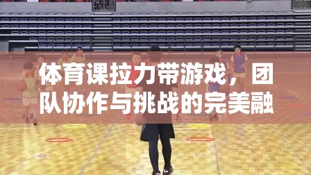 拉力帶游戲，團(tuán)隊(duì)協(xié)作與挑戰(zhàn)的完美融合